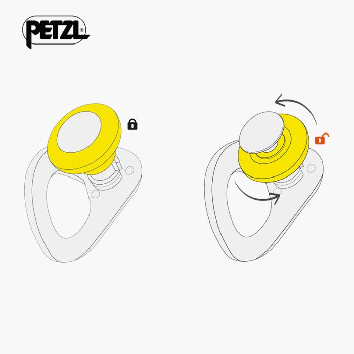 2.COEUR-PULSE-4