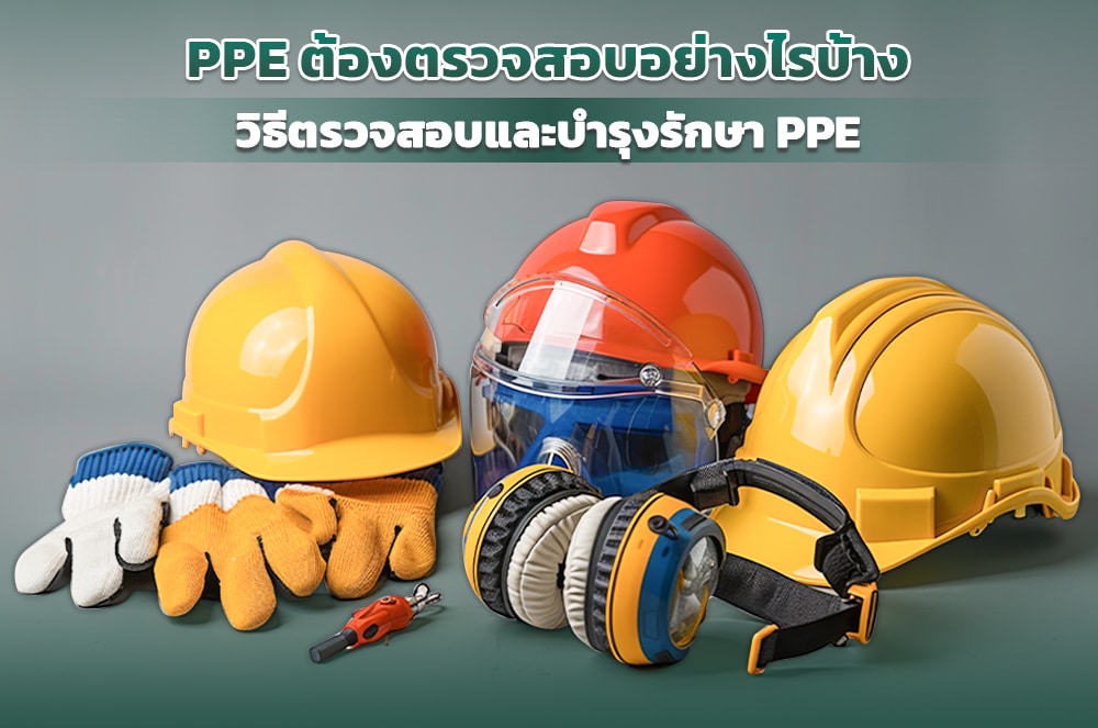 1 PPE ที่ต้องมีการตรวจสอบประจำปีและใบรับรอง (Certificate)