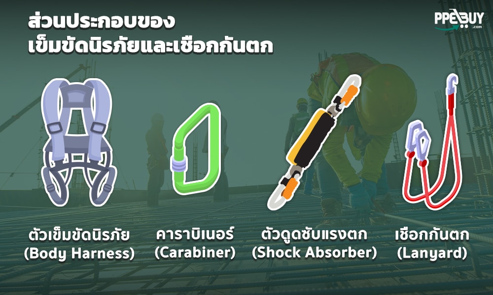 2 ส่วนประกอบของเข็มขัดนิรภัยและ เชือกกันตก