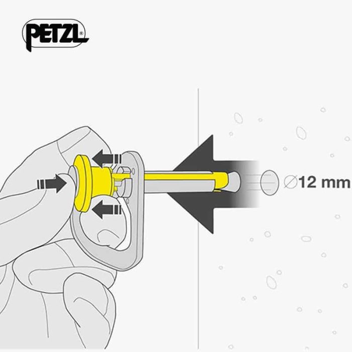 3.4 P37S 12-COEUR PULSE ( เก่า)